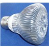 LED Bulbs (PAR20)