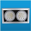 LED Ceiling Light