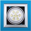 LED Ceiling Light