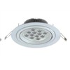 LED Ceiling Light