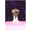 LED Curtain Light