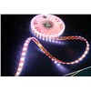 LED Decorative Light