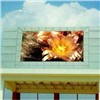LED Display (GO80-120p10RGB)