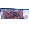 LED Display Screen / LED Display