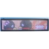 LED Display Screen