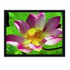 LED Display Sign (GO64-60P10RGB)