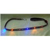 LED Dog Leash