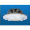 LED Down Lgiht 20W