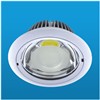 LED Downlight (LQ-DL25W)