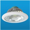 LED Downlight