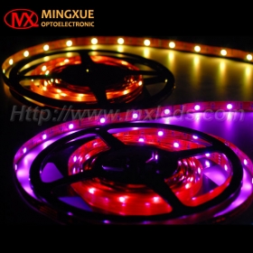 LED Dream Color Strip Light