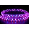 LED Flat 3 Wire Rope Light