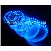 LED Flexible Strip (PL-FS500B300)