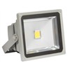 LED Floodlight (FL-20W)
