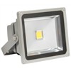 LED Floodlight (FL-30W-01)
