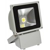 LED Floodlight (FL-70W)