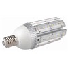 LED Garden Light (YL-GL-36W)