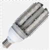 LED Garden Lighting Retrofit Bulb (GL-30W)