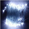 LED Holiday Light