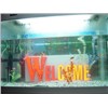 LED Letter