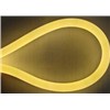 LED Neon Light (PL-NS100Y)