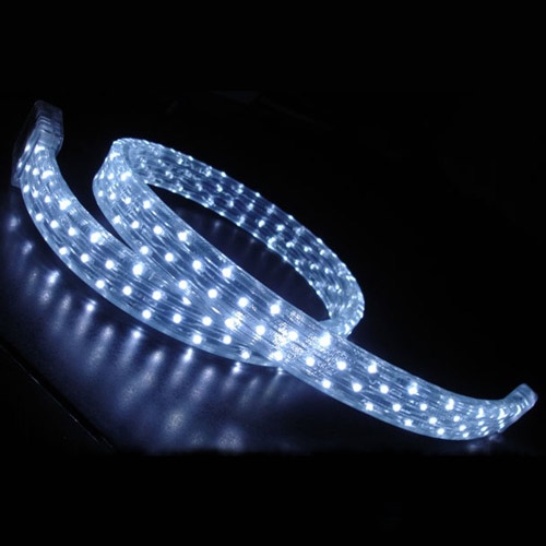 LED Neon Light