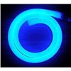 LED Neon Rope Light (PL-NS100B)