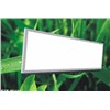 LED Panel Light