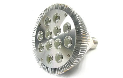 LED PAR38 Light
