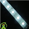 LED Rigid Strip