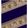 LED Rigid Strip