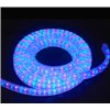 LED Rope Light (PL-RL3F-G)