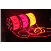 LED Rope Light