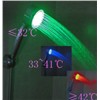 LED Shower Head Light