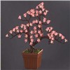LED Small Tree Lights