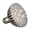 LED Spot Light (PAR30)