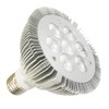 LED Spot Light (Par30)