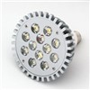 LED Spot Light (PAR38)