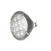 Led Spot Light 13W PAR38