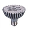 LED Spot Light 8W PAR30