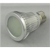 LED Spotlight (PAR38)
