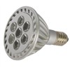 LED Spotlight (PR30)