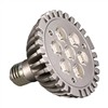 LED Spotlight-PAR30