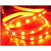 LED Srtips