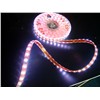 LED Strip (SM-Y5050FS30-F12V)