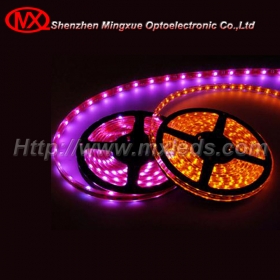 LED Strip Lights
