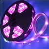 LED Strips