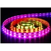 LED Trotting Horse Strip Light