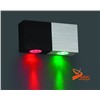 LED Wall Light