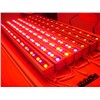 LED Wall Wash Lighting 24*3W